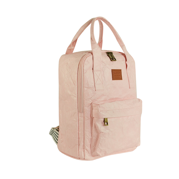 Customized Brand Gifts Eco Foldable Shopping School Backapck